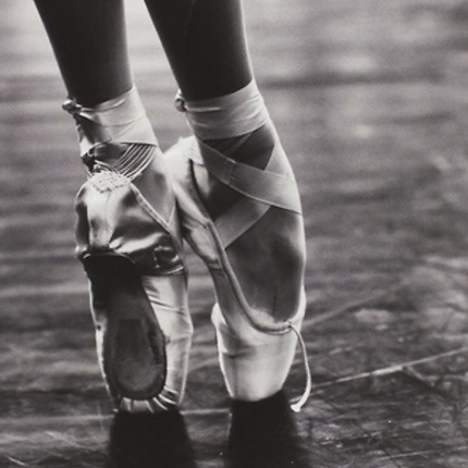 Photographies