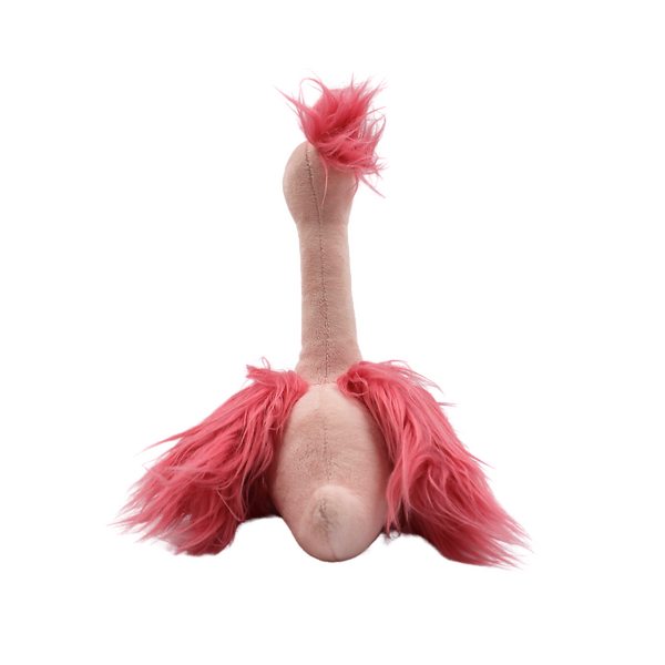 Fou fou Ostrich 1